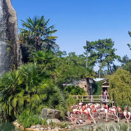 In * Saint-Denis-dʼOléron